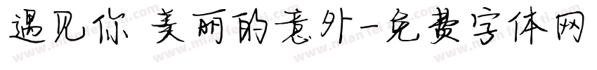 遇见你 美丽的意外字体转换